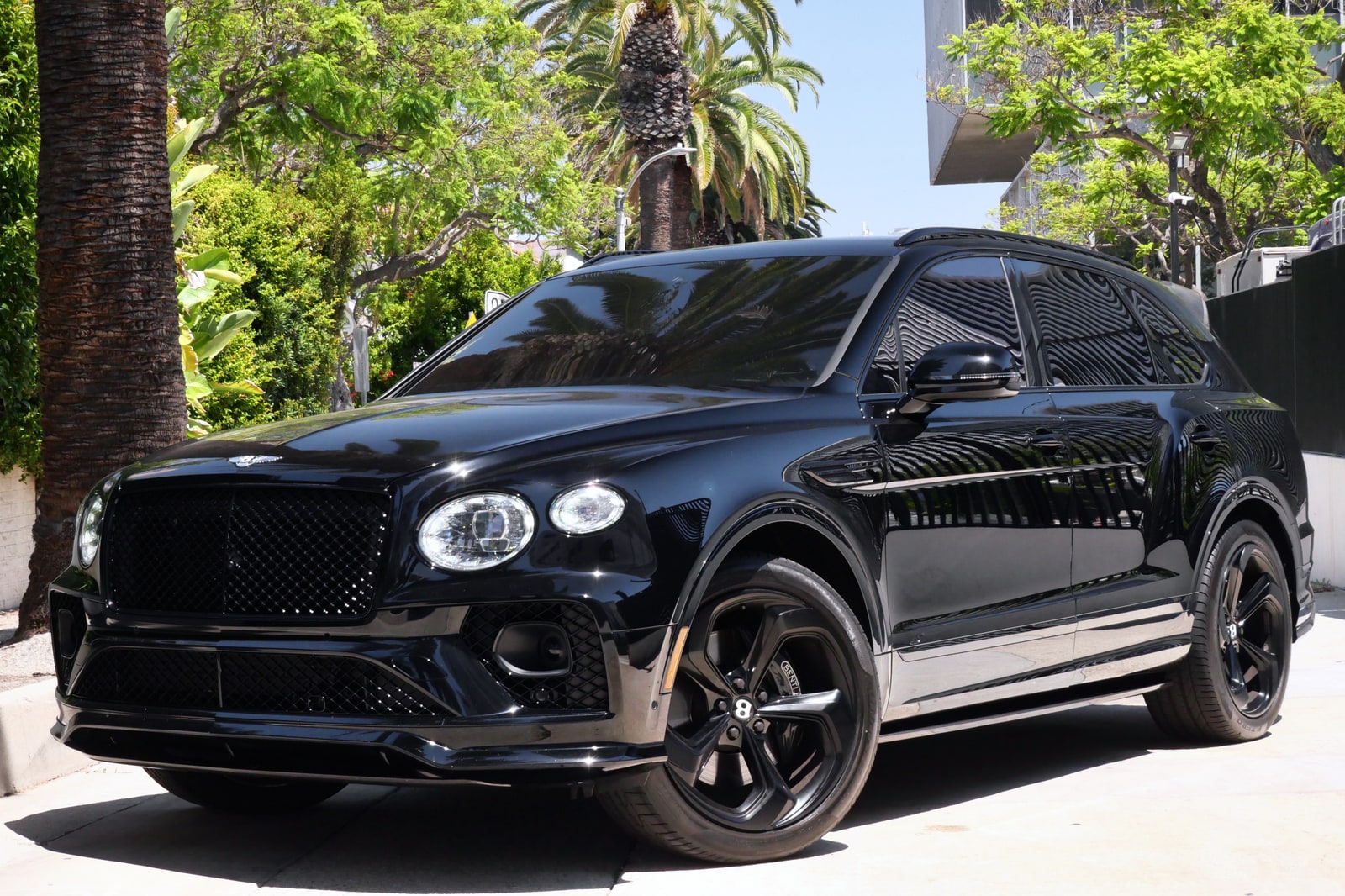 Black Bentley Bentayga from a low front three-quarter beneath palm trees