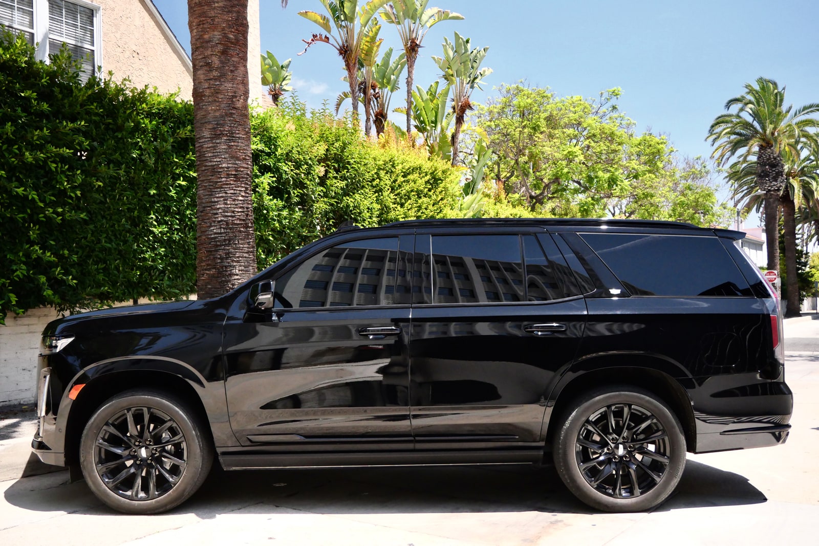 Black Cadillac Escalade in profile beneath palm trees