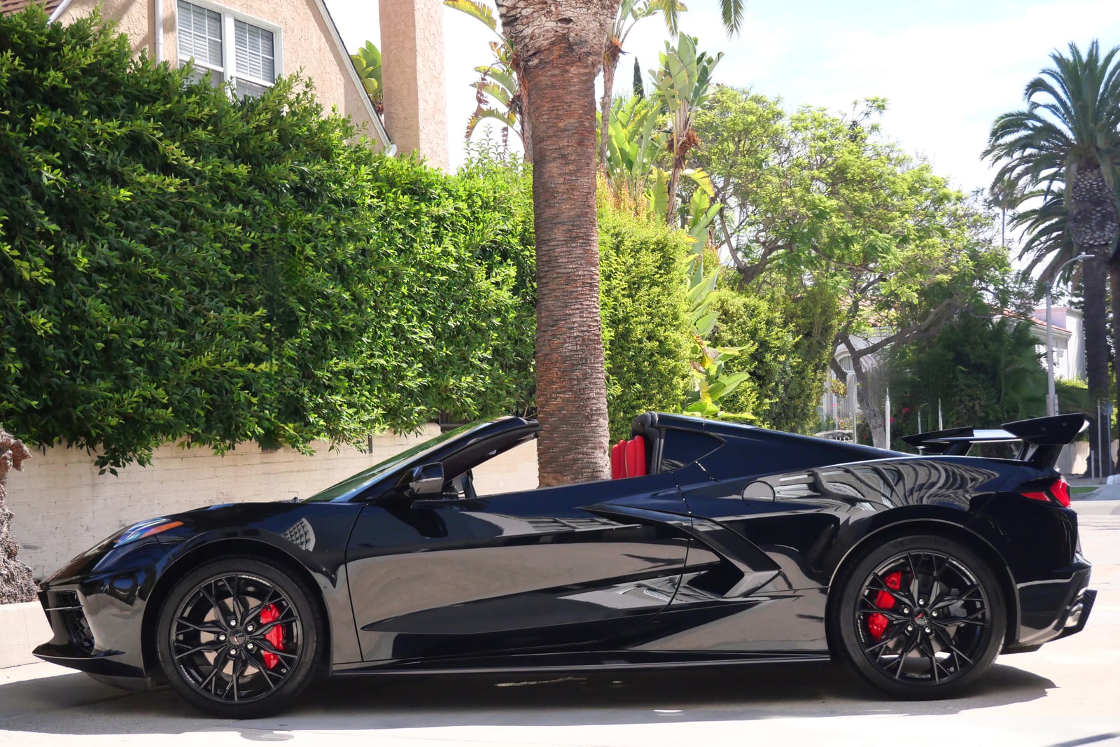 Black Chevrolet Corvette in profile with the roof stowed, beneath palm trees