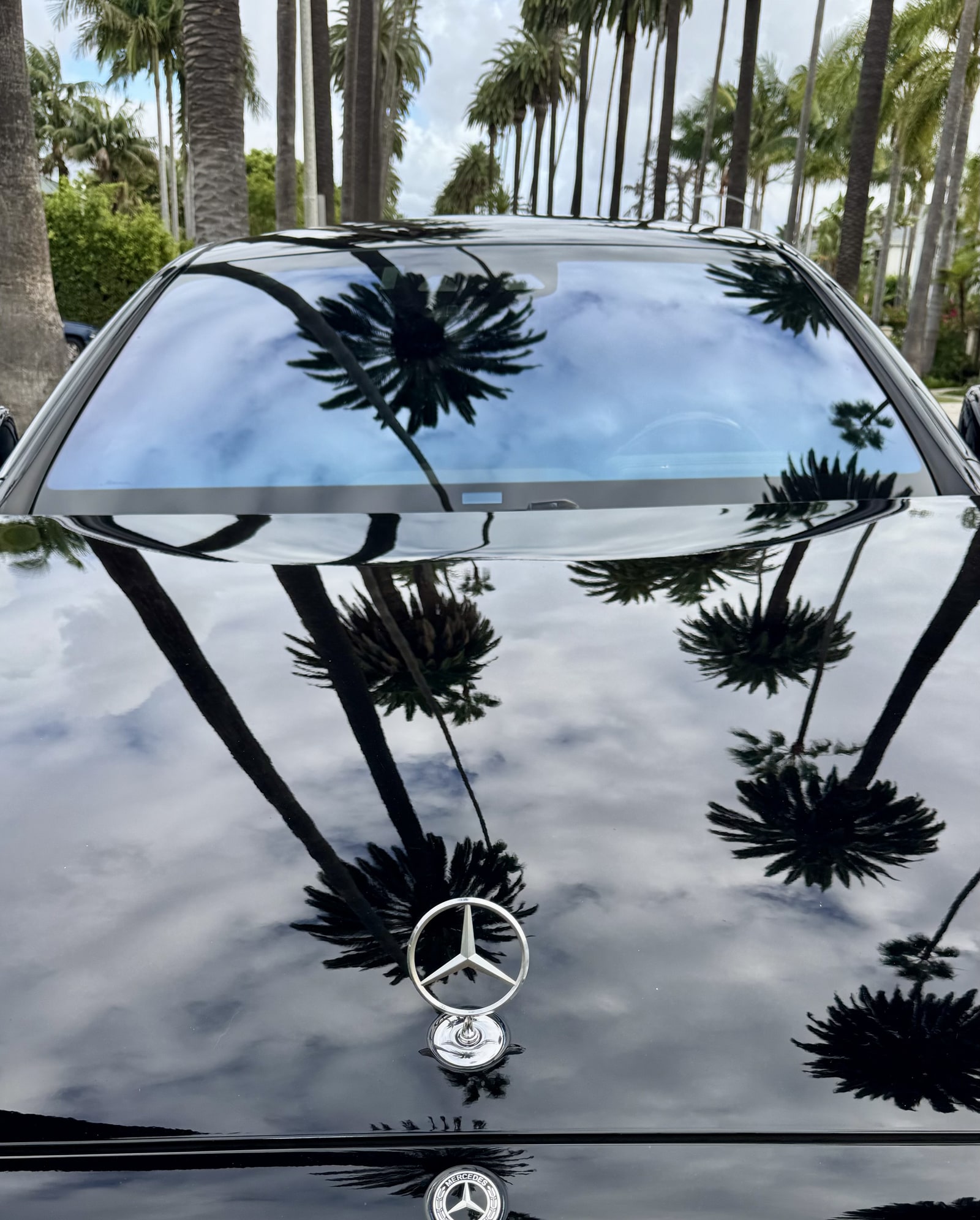 Mercedes star on the black bonnet of the S 580 with palm trees reflected in the paint