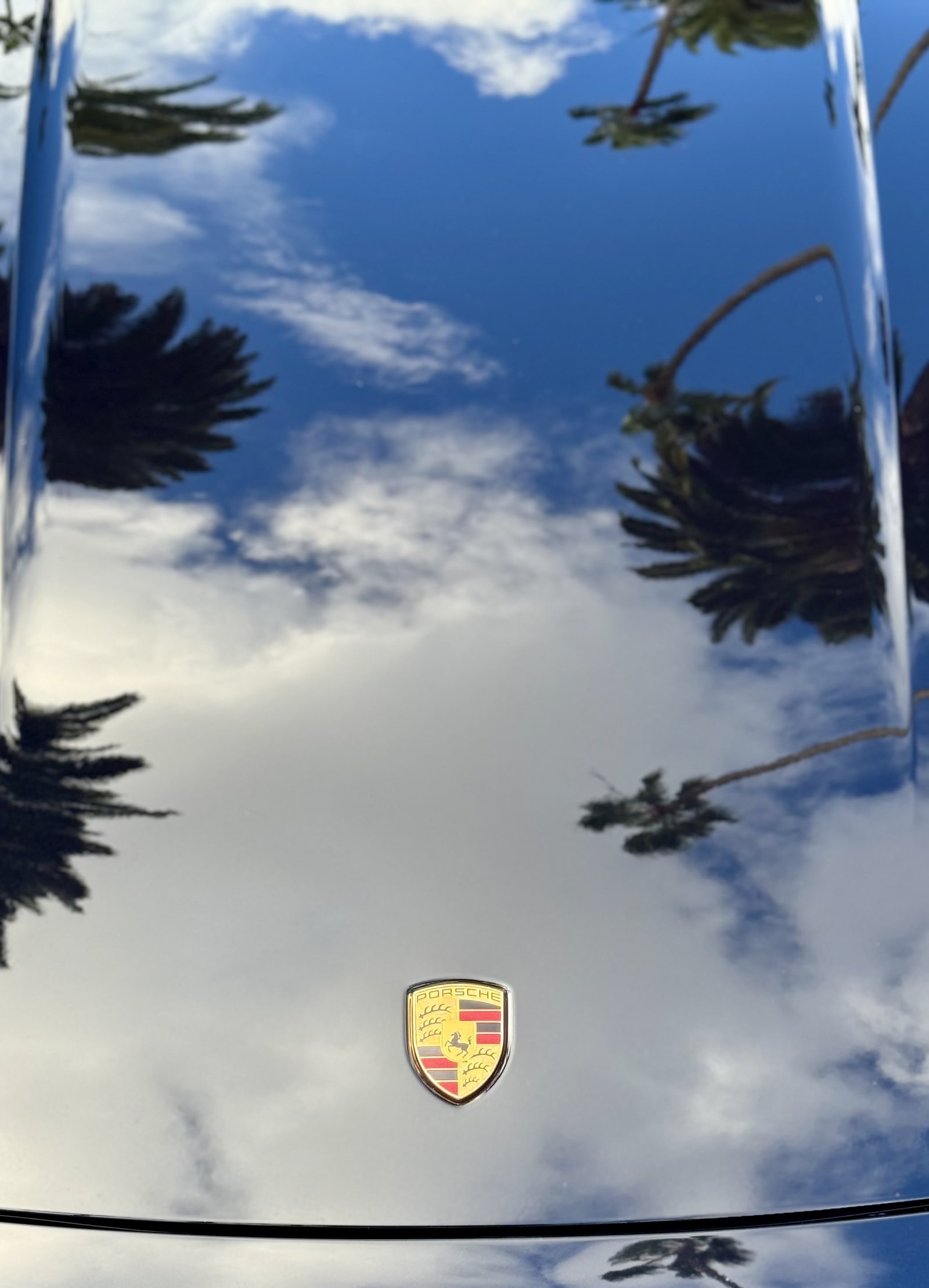 Porsche crest on the black bonnet of the 911 with palm trees reflected
